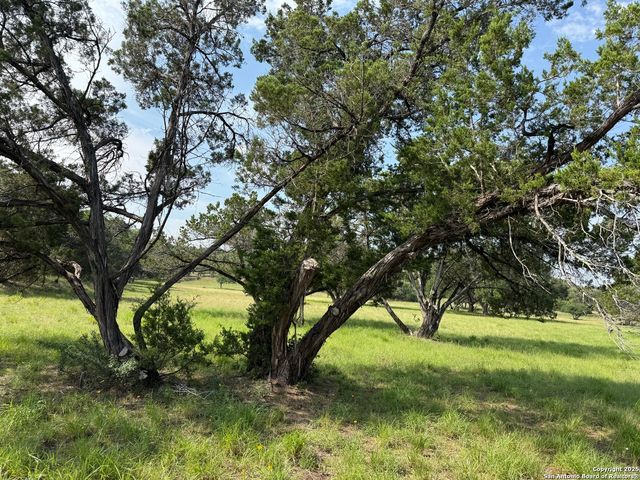3.86 ACRES Remington, Bergheim, TX 78004