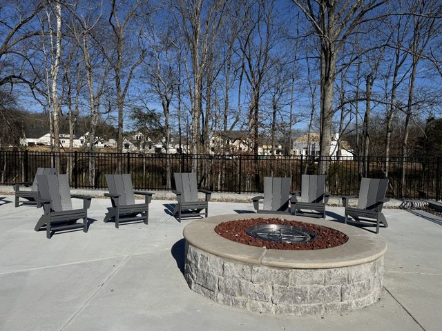 6001 Elliott Court, Arrington, TN 37014