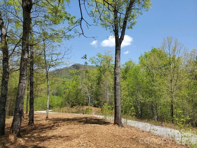 00 Wambli Pass 20 & 21, Lake Lure, NC 28746