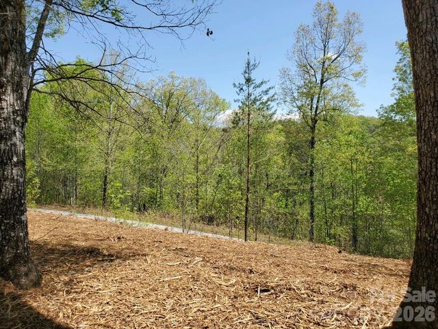00 Wambli Pass 20 & 21, Lake Lure, NC 28746