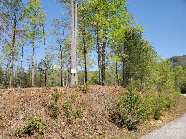 00 Wambli Pass 20 & 21, Lake Lure, NC 28746
