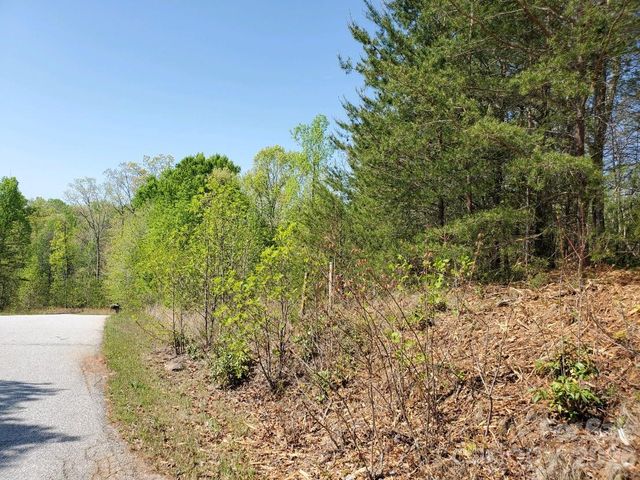 00 Wambli Pass 20 & 21, Lake Lure, NC 28746