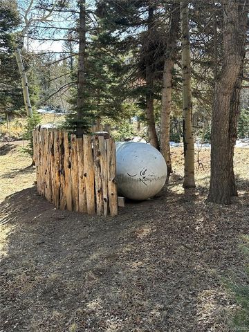 2945 Forbes Park Road, Fort Garland, CO 81133