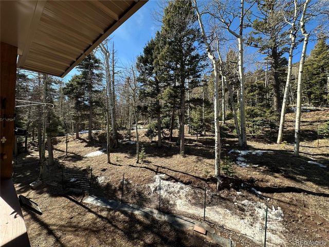 2945 Forbes Park Road, Fort Garland, CO 81133