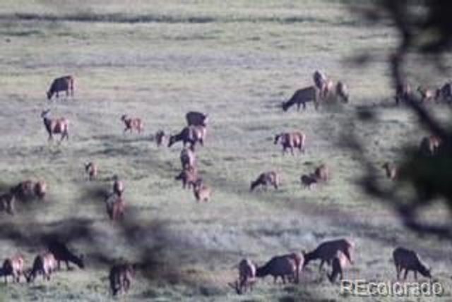 2945 Forbes Park Road, Fort Garland, CO 81133