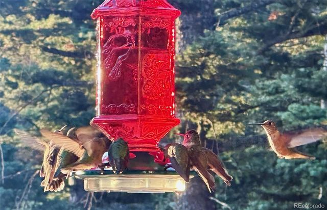 2945 Forbes Park Road, Fort Garland, CO 81133