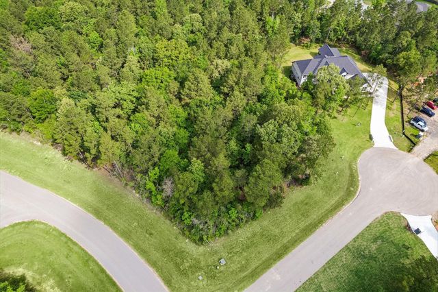 8608 Trinity Pines Court, Montgomery, TX 77316