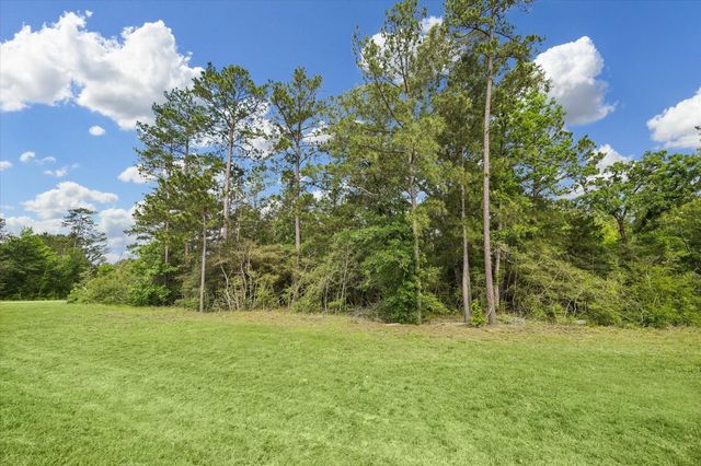 8608 Trinity Pines Court, Montgomery, TX 77316