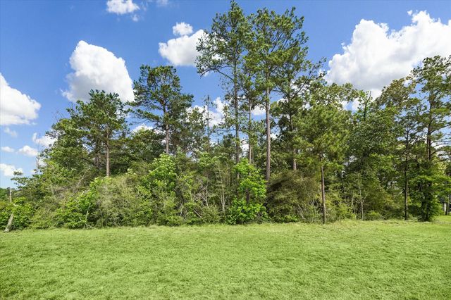 8608 Trinity Pines Court, Montgomery, TX 77316