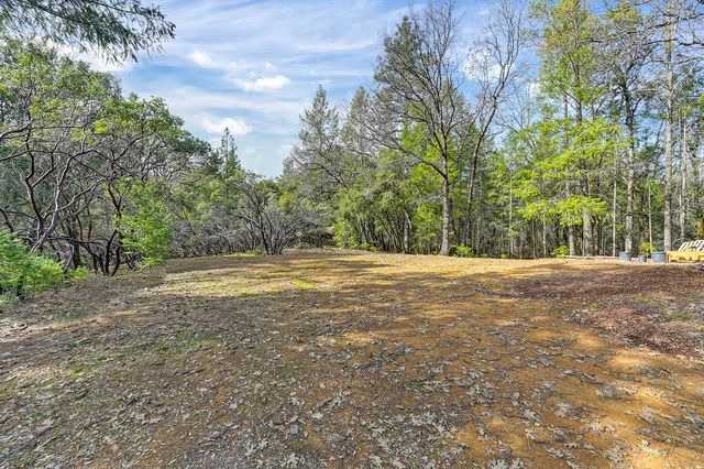 1149 Swanson Ln, Colfax, CA 95713