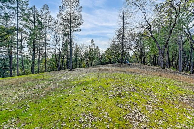 1149 Swanson Ln, Colfax, CA 95713