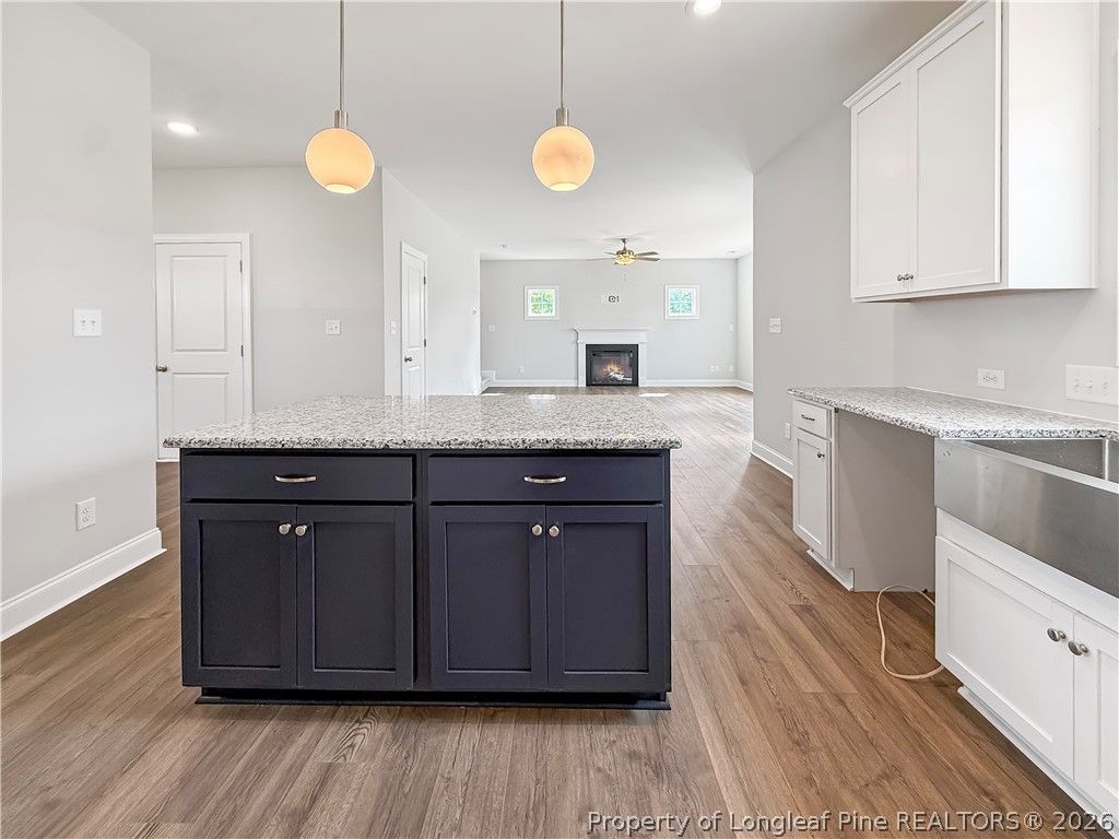 501 Dawn Flower (LOT 80) Court, Fayetteville, NC 28311 — photo 8