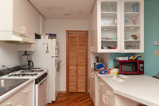 1307 N GREENVIEW Avenue 3F, Chicago, IL 60642