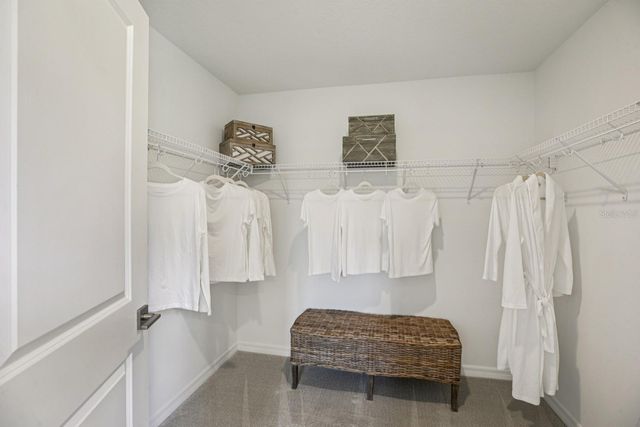 11189 GREEN CITRON ALLEY, Winter Garden, FL 34787