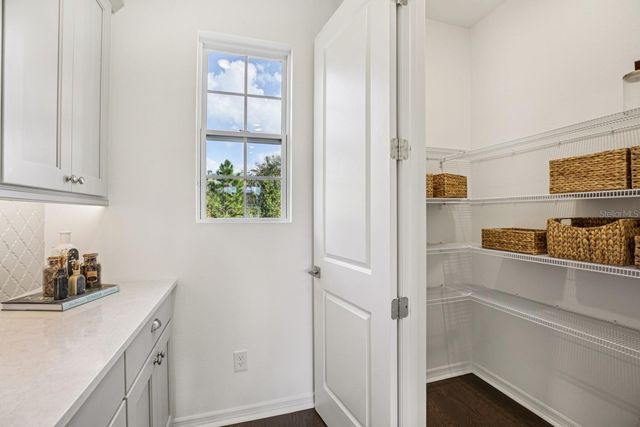 11189 GREEN CITRON ALLEY, Winter Garden, FL 34787