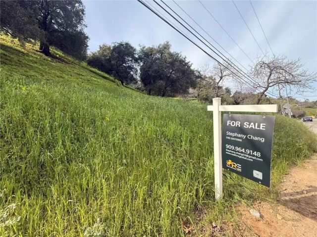 3669 Coldwater Canyon, Studio City, CA 91604