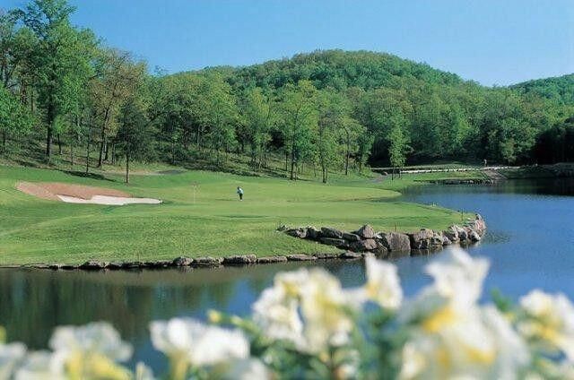 350 Cedar Glade Drive, Branson West, MO 65737