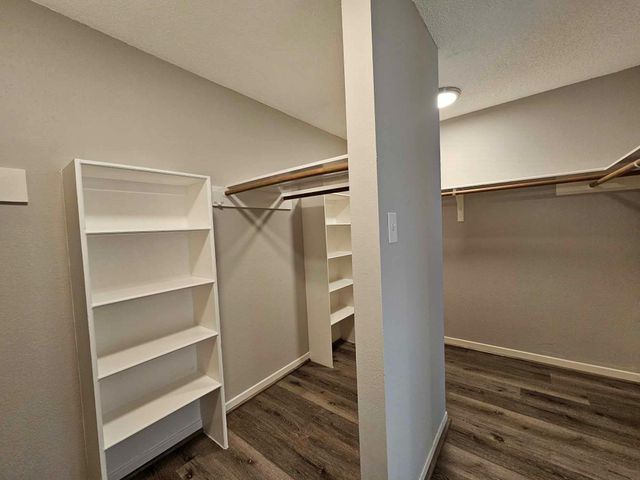 7887 Kendalia Drive, Houston, TX 77036