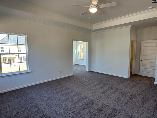 311 Rising Stream Way, Chapin, SC 29036