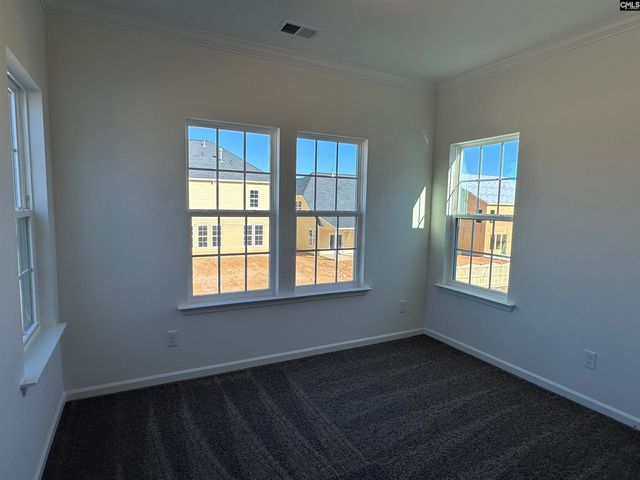 311 Rising Stream Way, Chapin, SC 29036