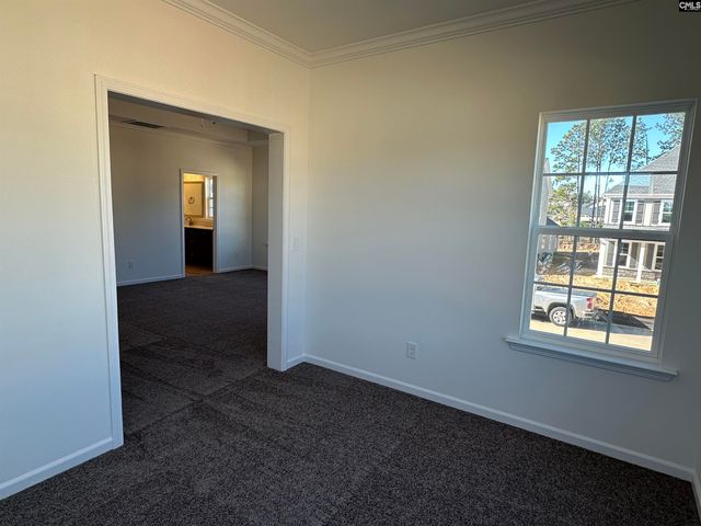 311 Rising Stream Way, Chapin, SC 29036