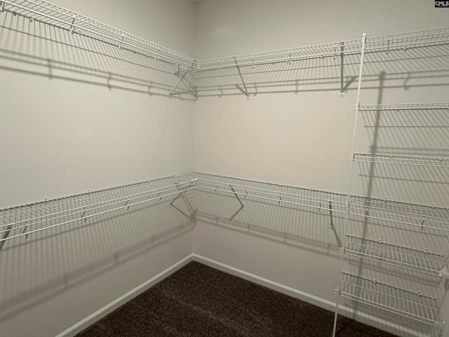 311 Rising Stream Way, Chapin, SC 29036