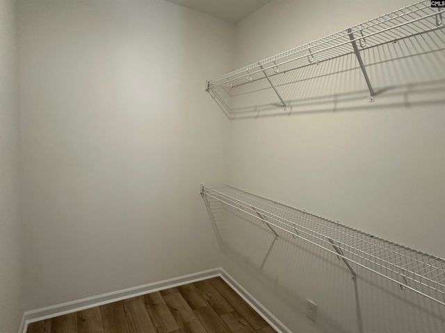 311 Rising Stream Way, Chapin, SC 29036