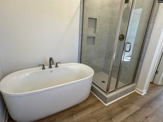 311 Rising Stream Way, Chapin, SC 29036