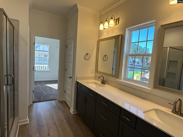 311 Rising Stream Way, Chapin, SC 29036