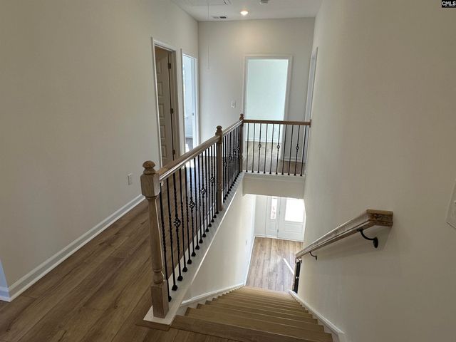 311 Rising Stream Way, Chapin, SC 29036