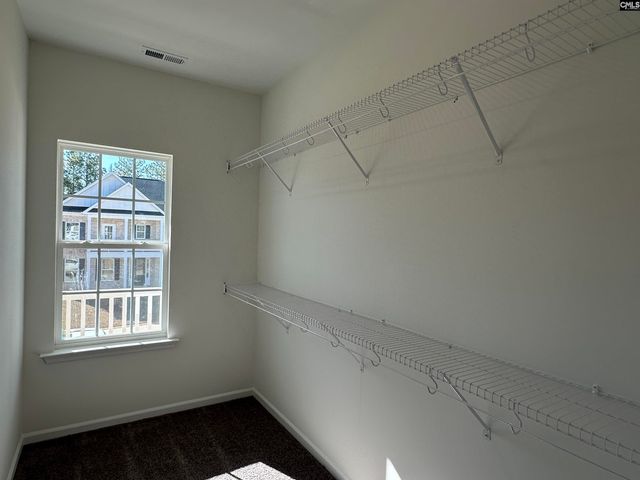 311 Rising Stream Way, Chapin, SC 29036