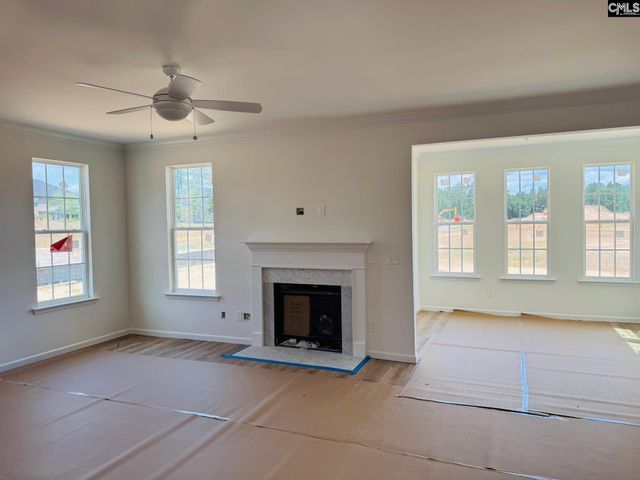 311 Rising Stream Way, Chapin, SC 29036