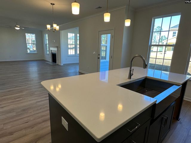 311 Rising Stream Way, Chapin, SC 29036