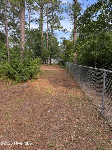 302 Silkweed Court, Wilmington, NC 28405