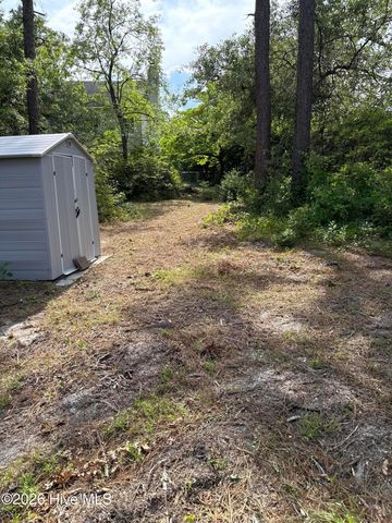 302 Silkweed Court, Wilmington, NC 28405