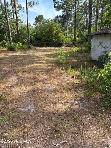 302 Silkweed Court, Wilmington, NC 28405