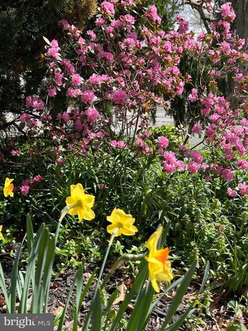 561 ARUNDEL DR, Severna Park, MD 21146