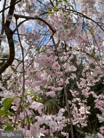 561 ARUNDEL DR, Severna Park, MD 21146