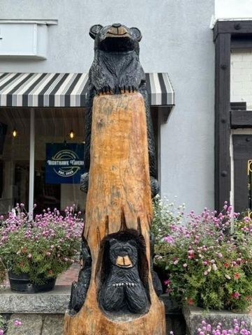 315 Church Street, Dahlonega, GA 30533