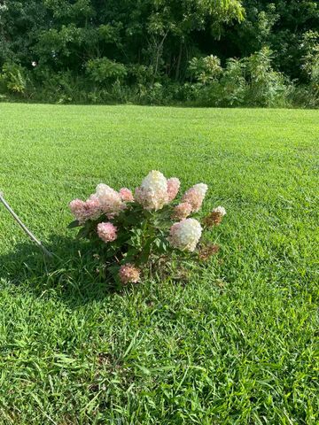 2276 County Rd 95, Higdon, AL 35979