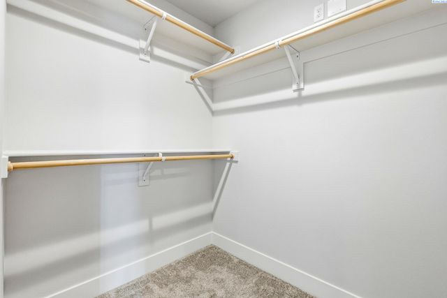 7681 Grapevine Ct, West Richland, WA 99353