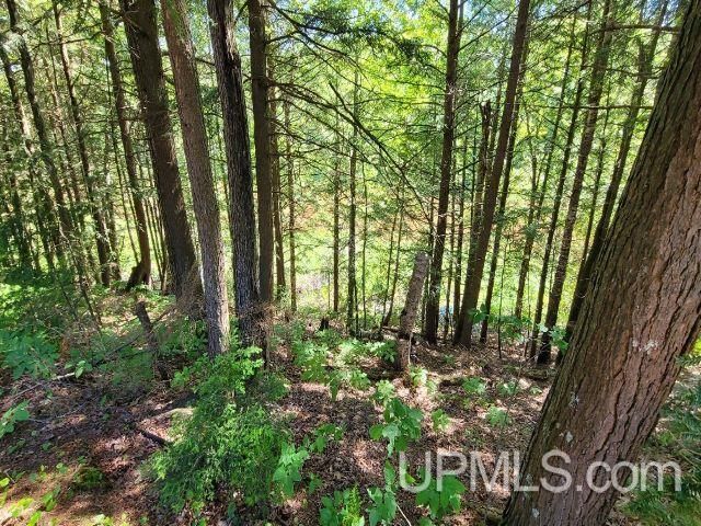 40378 Superior Lane, Ontonagon, MI 49953