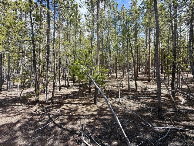 1127 Sequoia Drive, Twin Lakes, CO 80461