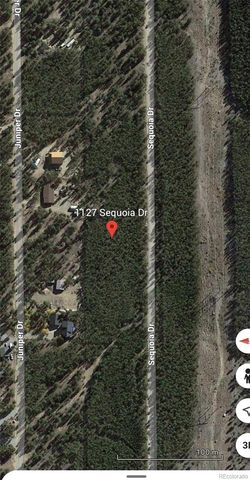 1127 Sequoia Drive, Twin Lakes, CO 80461