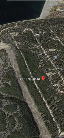 1127 Sequoia Drive, Twin Lakes, CO 80461