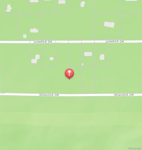 1127 Sequoia Drive, Twin Lakes, CO 80461