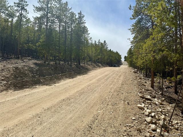 1127 Sequoia Drive, Twin Lakes, CO 80461