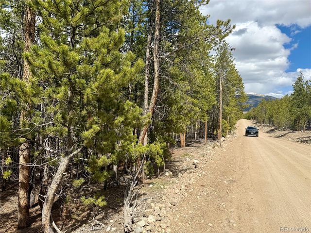 1127 Sequoia Drive, Twin Lakes, CO 80461