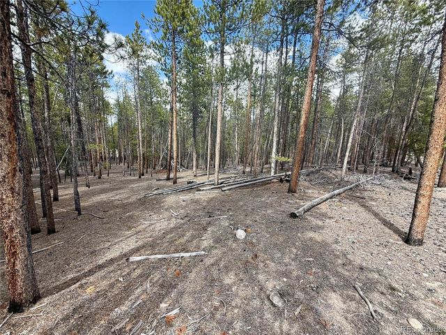 1127 Sequoia Drive, Twin Lakes, CO 80461