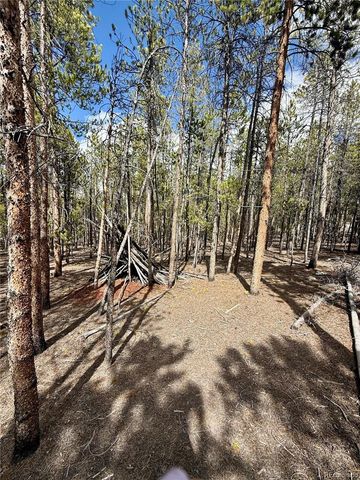 1127 Sequoia Drive, Twin Lakes, CO 80461